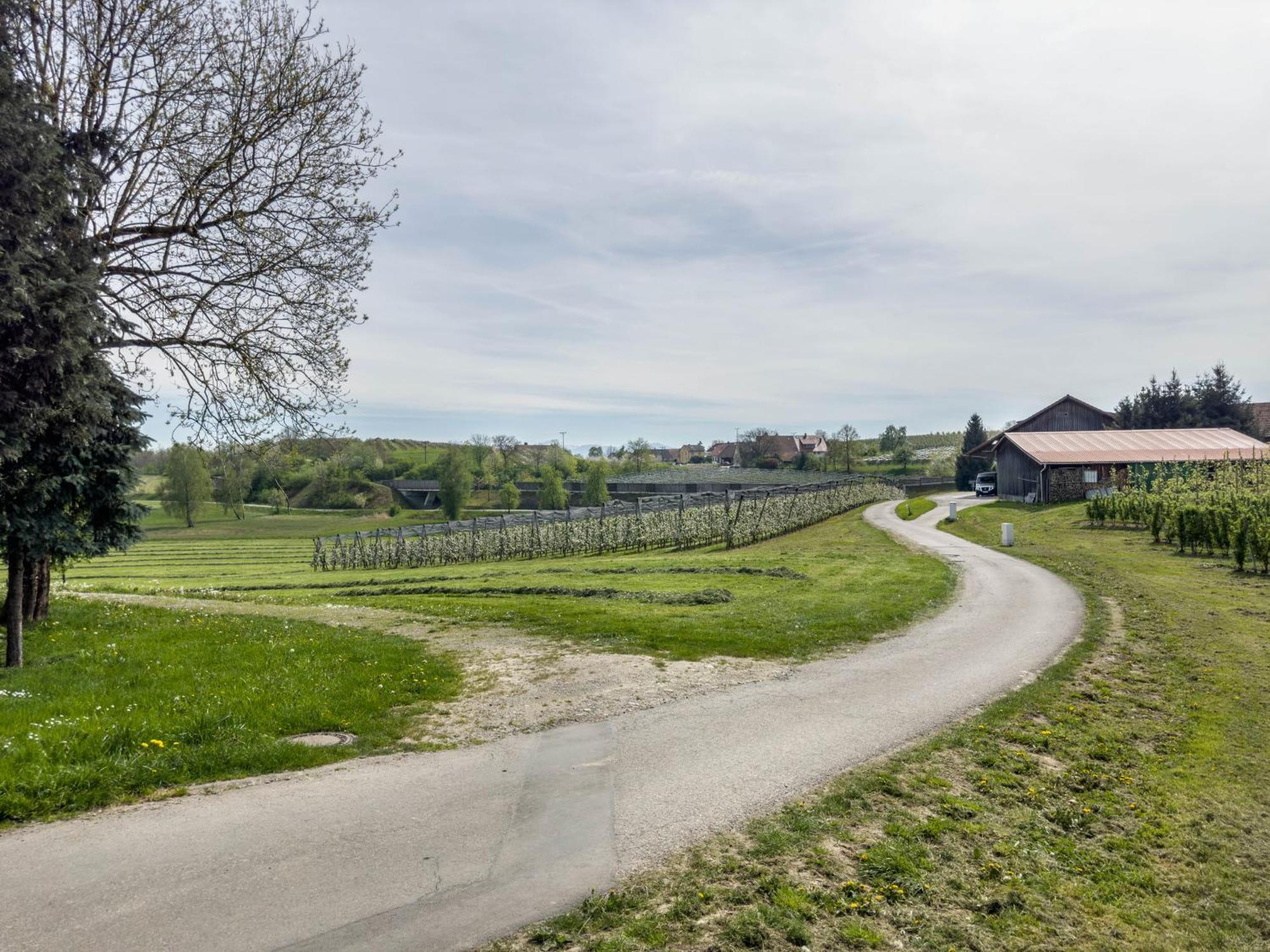 Ferienwohnung Lang Kressbronn am Bodensee Εξωτερικό φωτογραφία