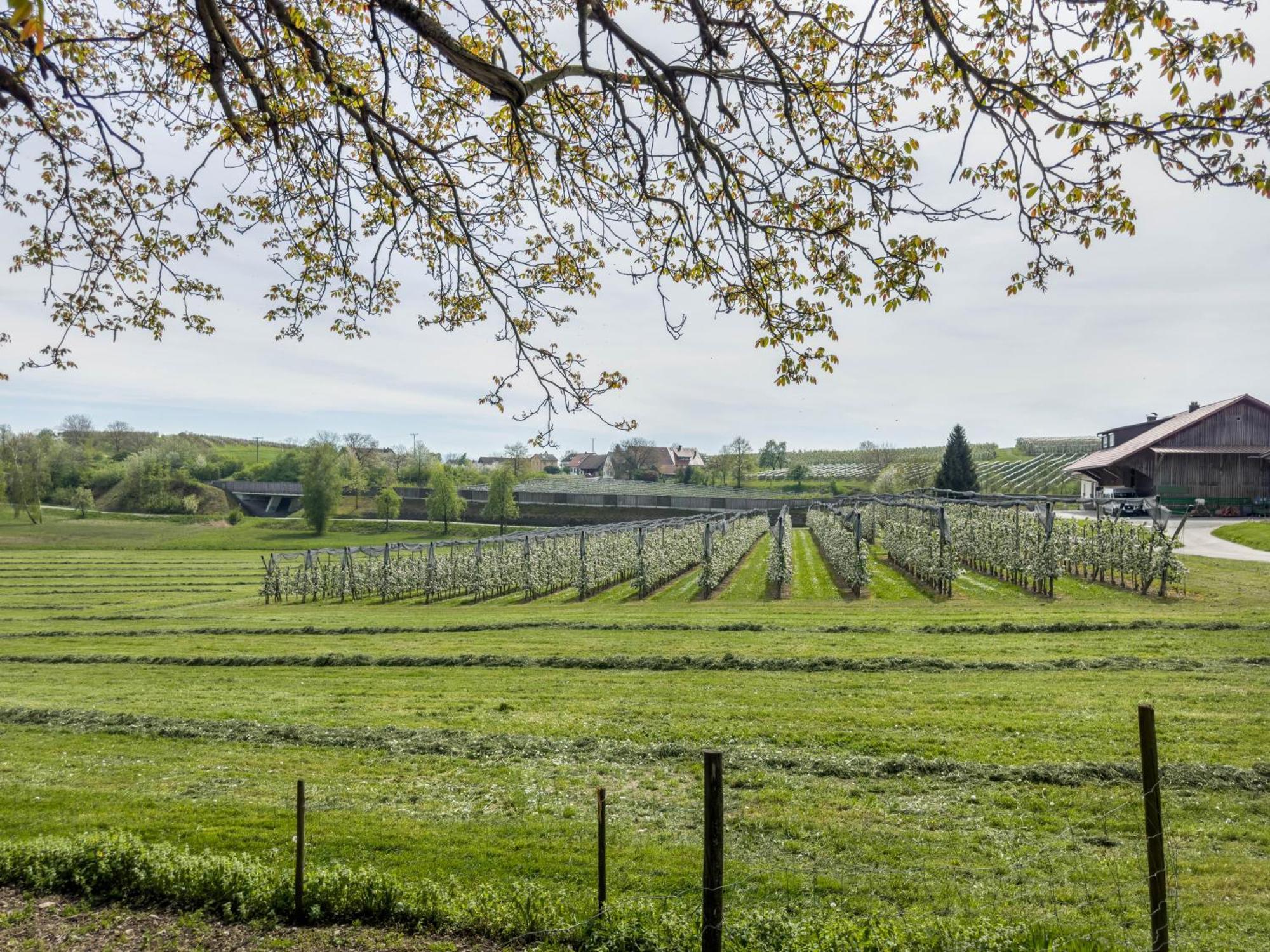 Ferienwohnung Lang Kressbronn am Bodensee Εξωτερικό φωτογραφία